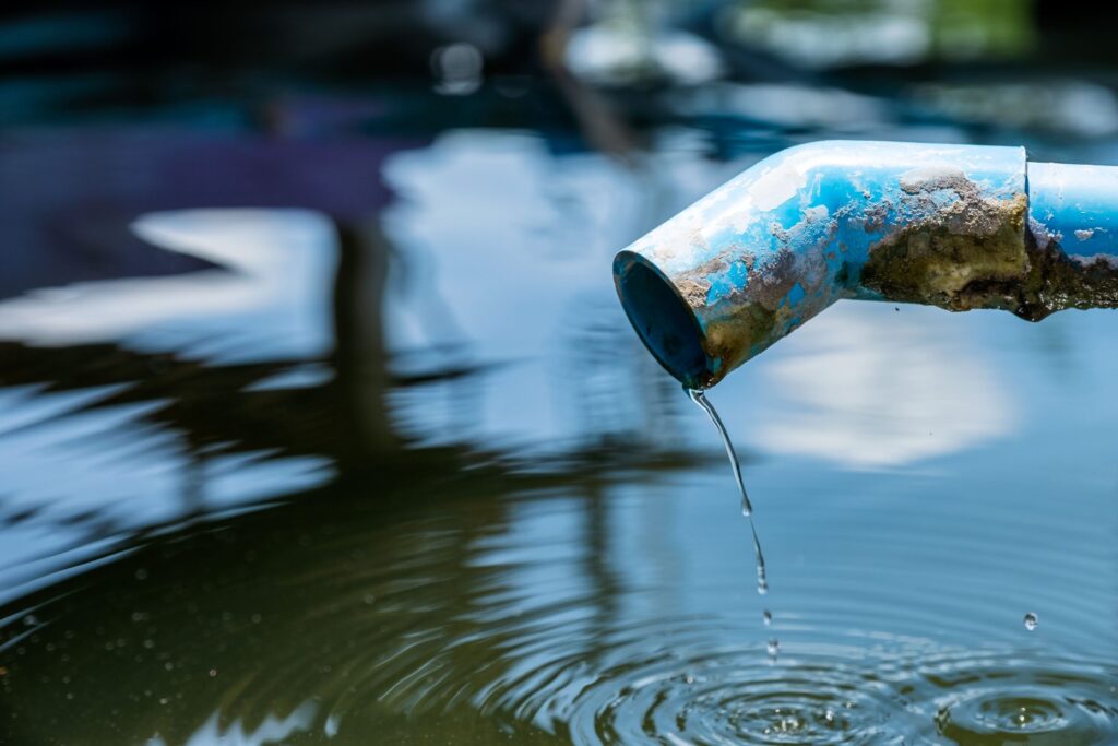 pipa azul una gota de agua en estanque con rizo scaled.jpg