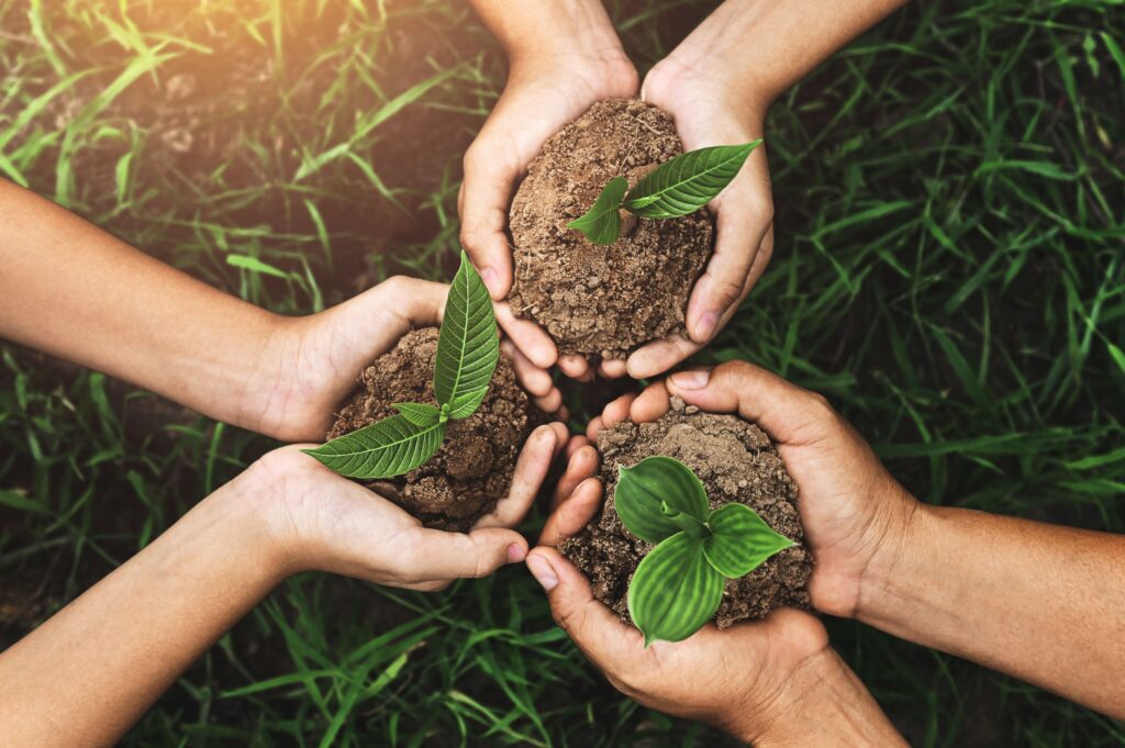 tres manos sosteniendo planta joven para plantar.jpg